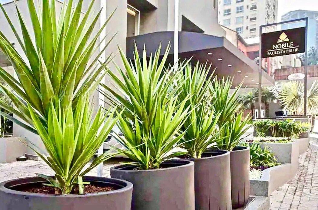 Appartement Flat Whynd Paulista Al Campinas 540 à São Paulo Extérieur photo